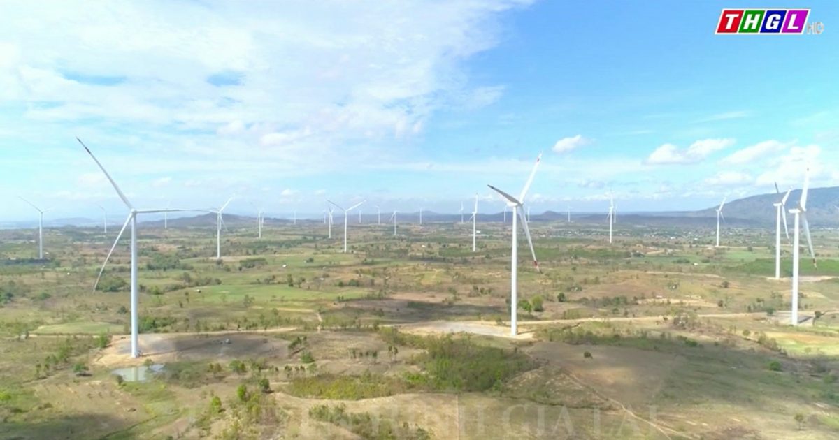 Gia Lai đề xuất những dự án điện gió chưa thỏa thuận giá cũng cho vận hành thương mại để tránh lãng phí