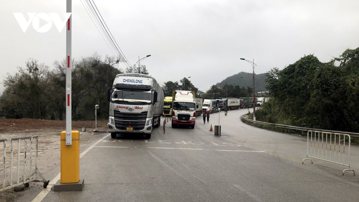 Khó tăng giá trị xuất khẩu nông sản khi thiếu vốn và chính sách