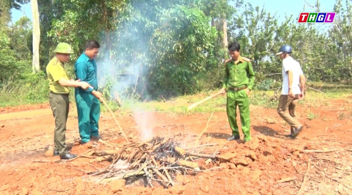 Kbang tổ chức tiêu hủy 12 cá thể sóc bụng đỏ