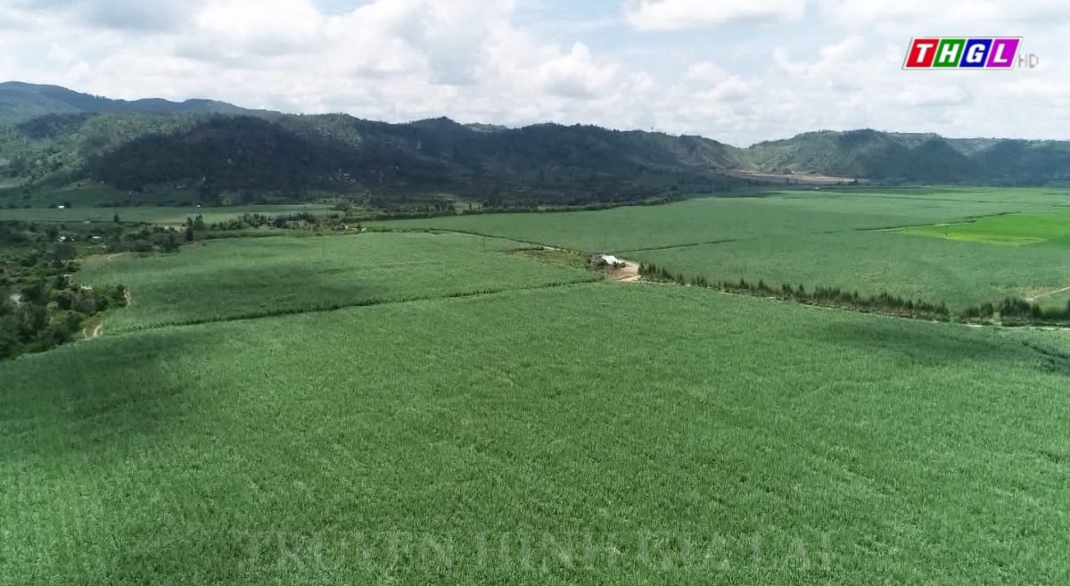 UBND tỉnh Gia Lai ban hành Kế hoạch Thực hiện Chiến lược phát triển nông nghiệp và nông thôn bền vững