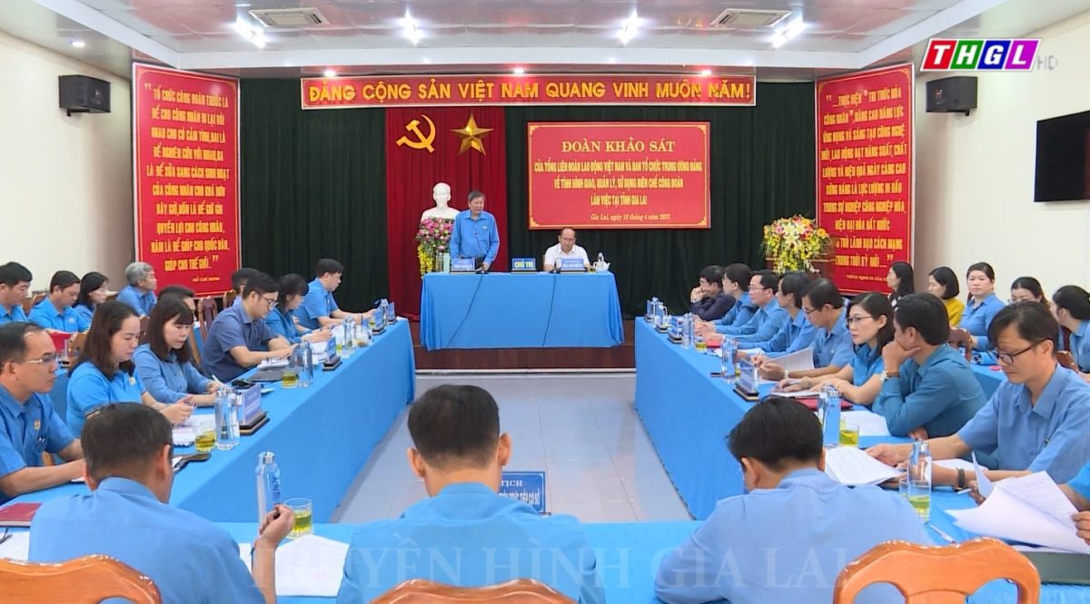 Tỉnh Gia Lai có nhiều ý kiến, đề xuất về tình hình giao, quản lý, sử dụng biên chế công đoàn