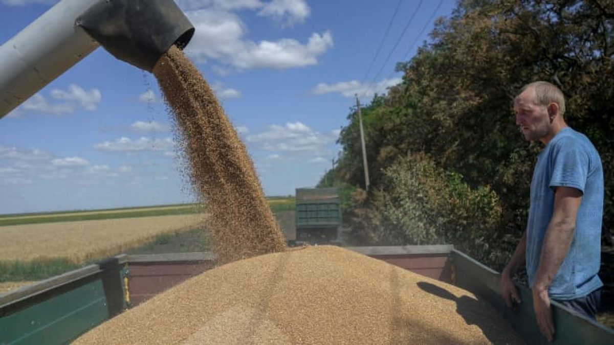 Ba Lan hứng chỉ trích vì cấm nhập ngũ cốc Ukraine