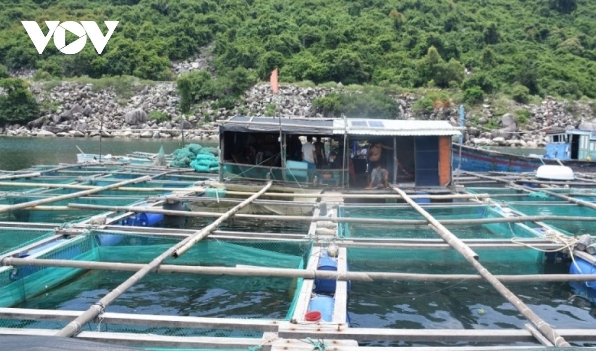 Thủy sản cơ cấu lại sản phẩm bù đắp sụt giảm kim ngạch xuất khẩu từ tôm và cá tra