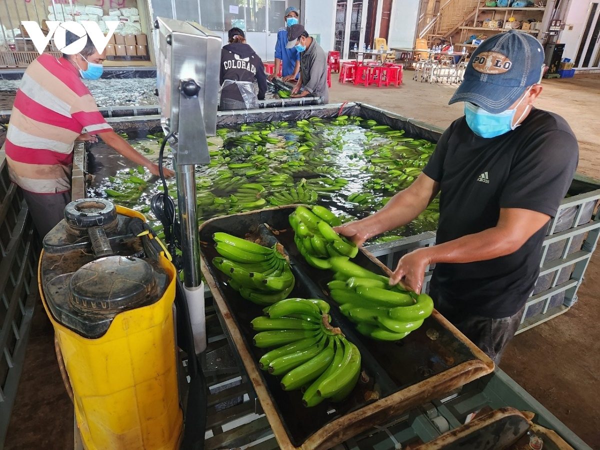 Bộ Công Thương yêu cầu DN chủ động kịch bản ứng phó khi xuất khẩu sụt giảm