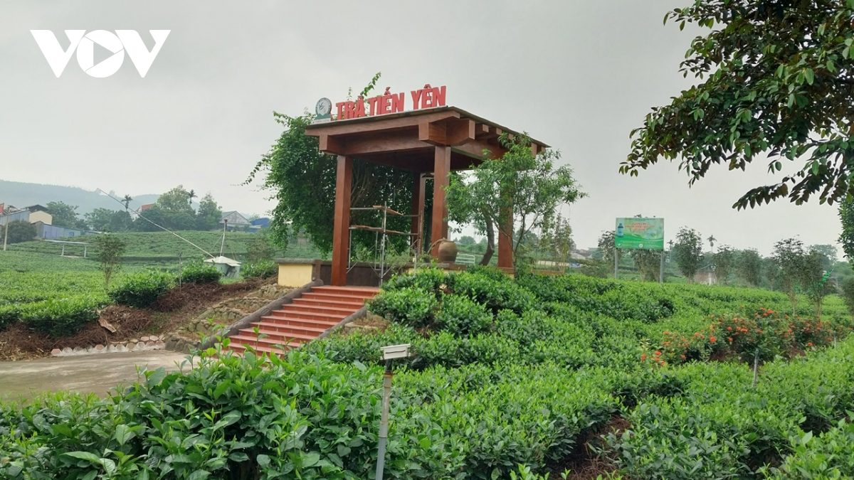 Mã số vùng trồng – “tấm vé xuất ngoại” cho sản phẩm nông sản