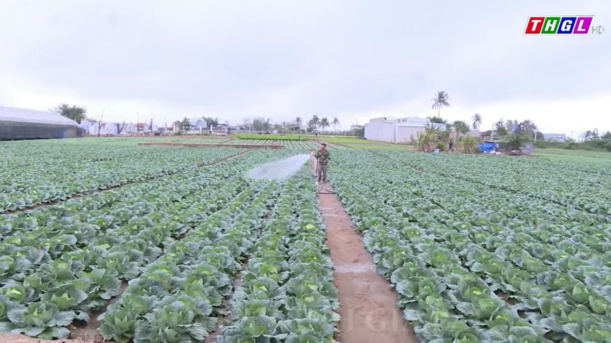 Toàn tỉnh có 73 CLB “Cựu chiến binh sản xuất, kinh doanh giỏi” cấp xã