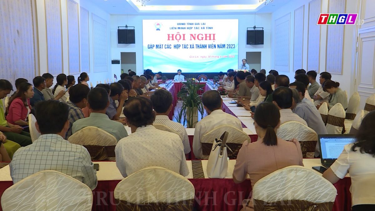 Hội nghị gặp mặt Hợp tác xã thành viên năm 2023