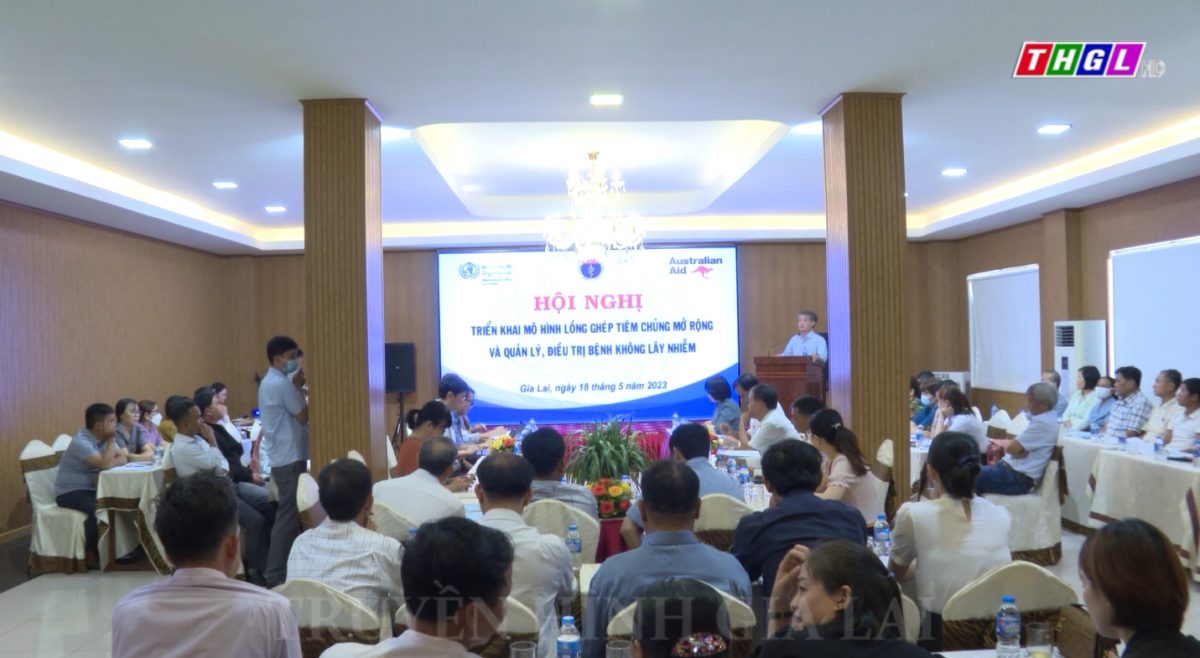 Hội nghị triển khai mô hình lồng ghép tiêm chủng mở rộng và quản lý, điều trị bệnh không lây nhiễm