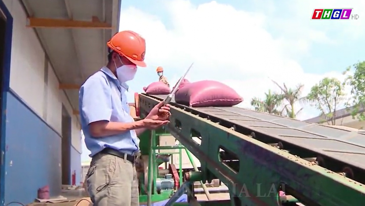 Hỗ trợ xây dựng website, ứng dụng thương mại điện tử cho doanh nghiệp, hợp tác xã, cơ sở sản xuất kinh doanh