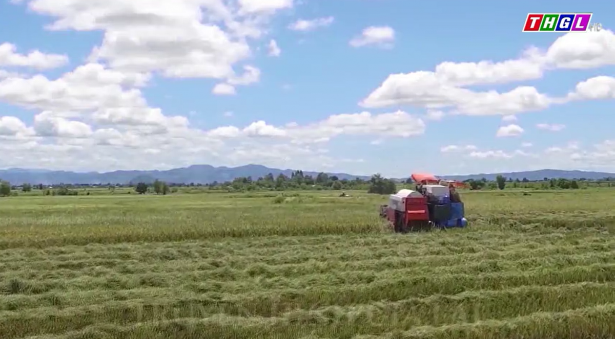 Hỗ trợ ứng dụng công nghệ thông tin cho các hợp tác xã vùng đồng bào DTTS và miền núi