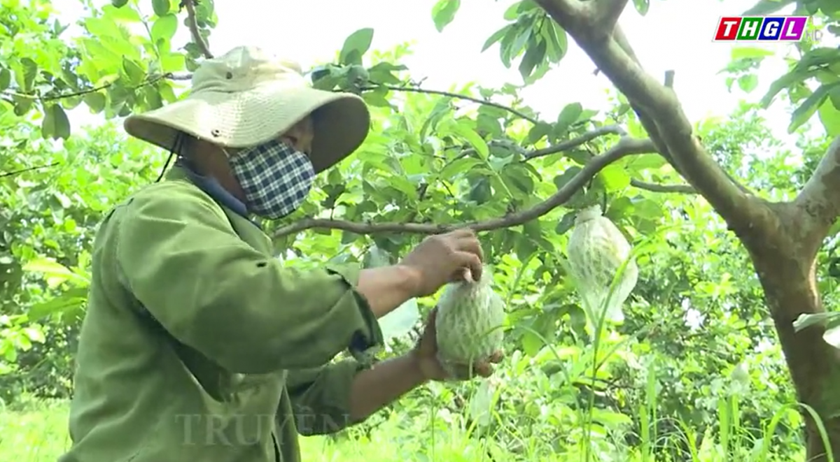 Mô hình kinh tế tập thể góp phần nâng cao thu nhập cho lao động địa phương