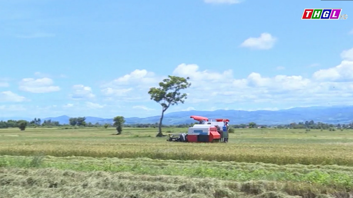 Nâng cao hiệu quả mô hình hợp tác xã nông nghiệp kiểu mới