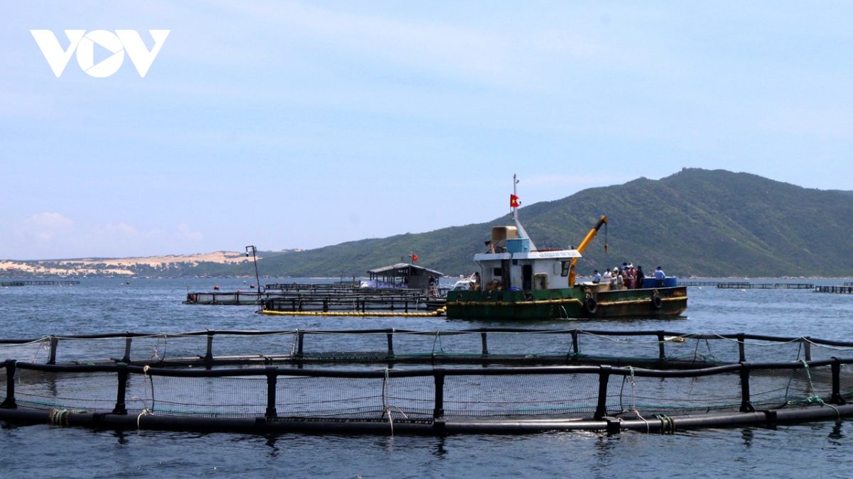 Nuôi trồng thủy sản từng bước tiến ra xa bờ là hướng đi tất yếu