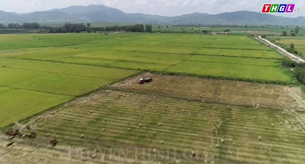 Hội viên huyện Phú Thiện chú trọng phổ biến kiến thức sản xuất cho hội viên