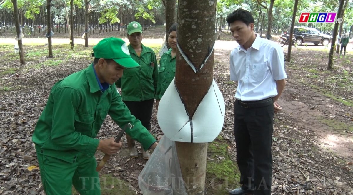 Phữi – Thanh niên điển hình trong phong trào “Thanh niên tiên tiến làm theo lời Bác”