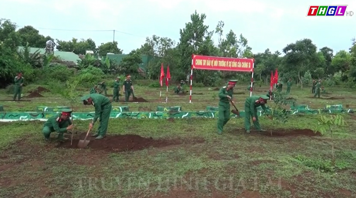 Sư đoàn 320 phát động “Tết trồng cây đời đời nhớ ơn Bác Hồ”