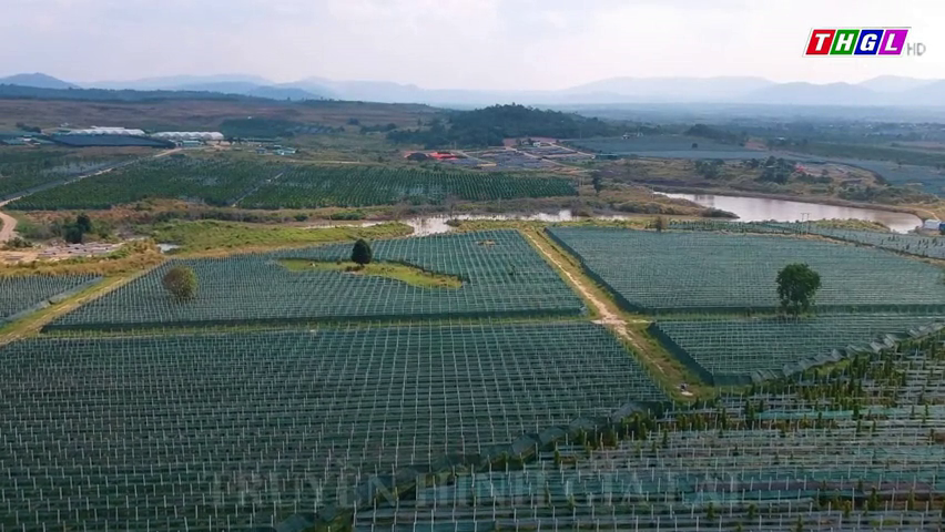 Gia Lai thu hút đầu tư vào các dự án nông nghiệp