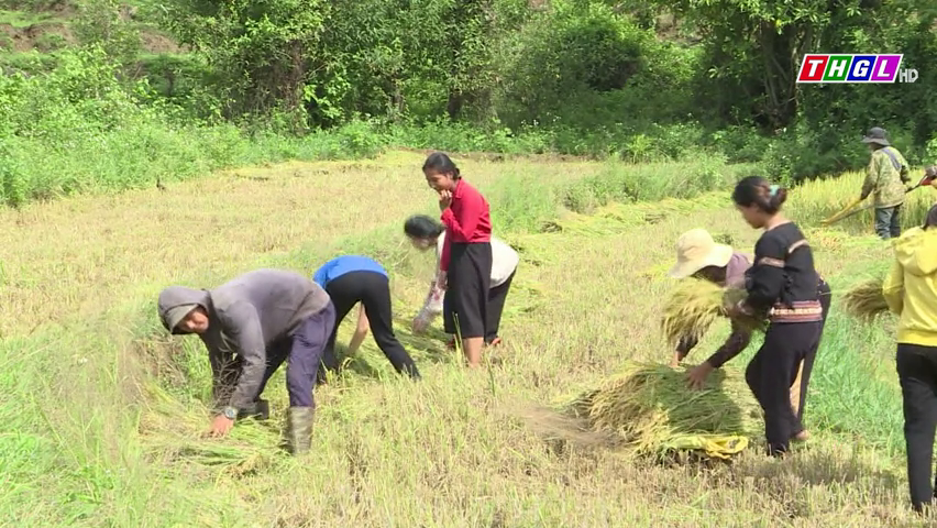 Góp sức xây dựng nguồn quỹ để hoạt động