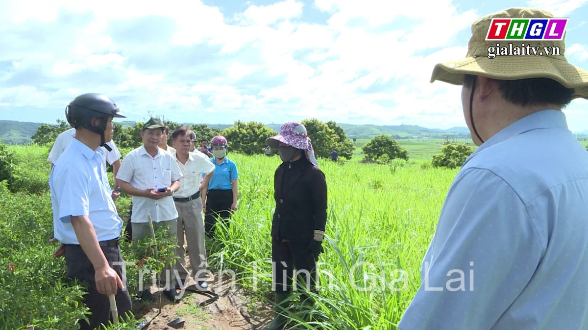 HĐND tỉnh Gia Lai giám sát việc quản lý và sử dụng vốn ngân sách ủy thác qua Ngân hàng Chính sách xã hội tại huyện Kbang và thị xã An Khê