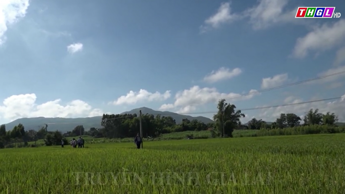 Đak Pơ phát huy hiệu quả từ các chương trình, dự án phát triển kinh tế vùng DTTS