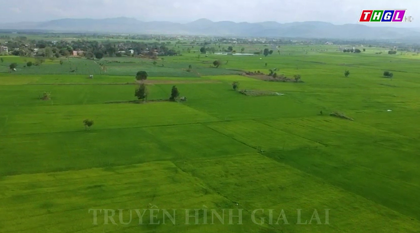 Gia Lai phân bổ hơn 1000 tỷ đồng để thực hiện Chương trình MTQG phát triển KT – XH vùng đồng bào DTTS và miền núi