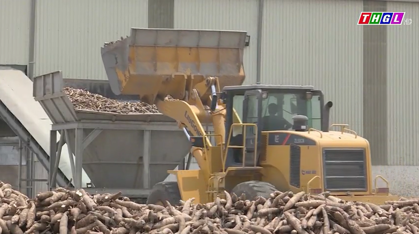 Gia Lai phấn đấu có 40% doanh nghiệp hoạt động ứng dụng khoa học và công nghệ, đổi mới sáng tạo