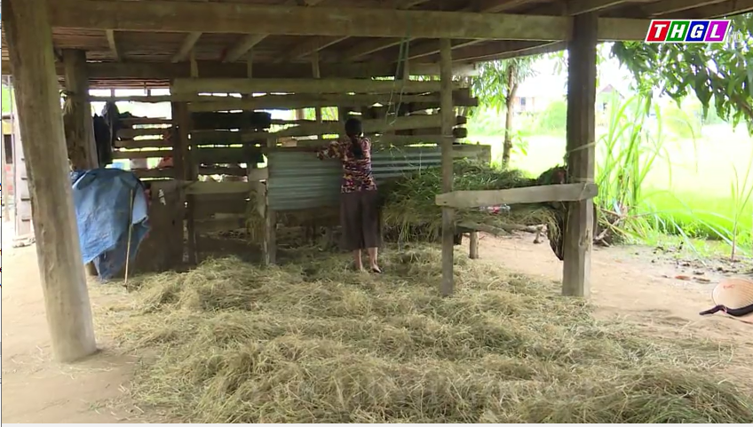 Hơn 822 tỷ đồng vốn vay tín dụng chính sách để thực hiện Chương trình MTQG phát triển kinh tế-xã hội vùng đồng bào DTTS và miền núi tỉnh