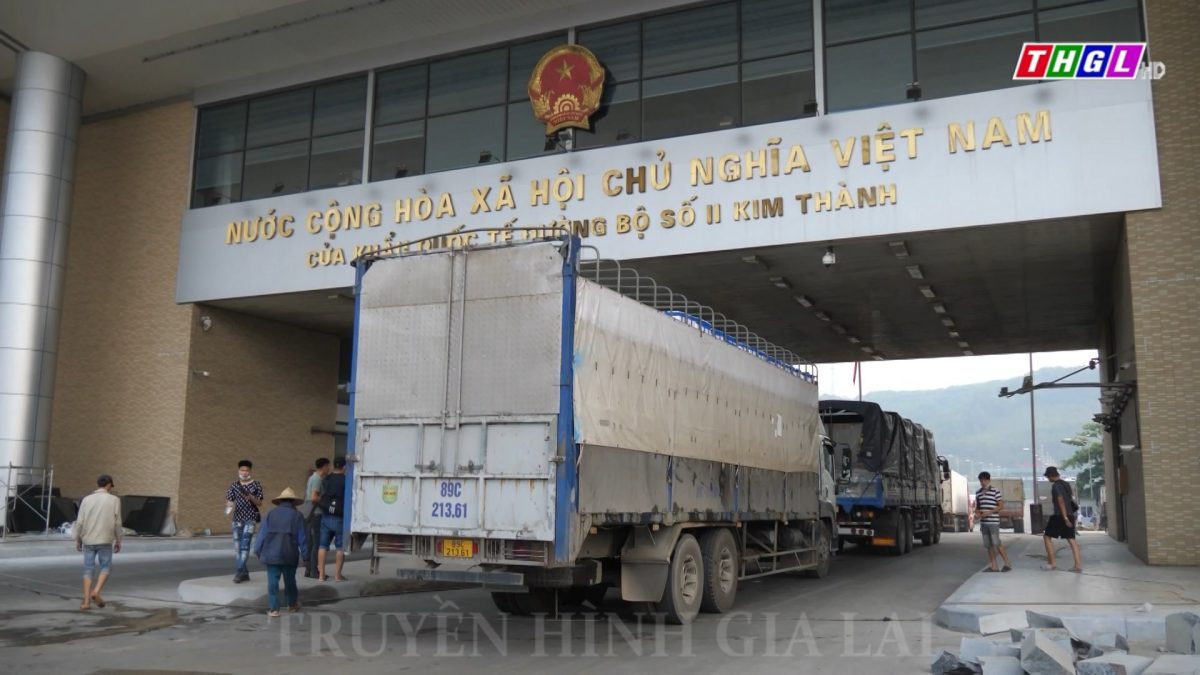 Lào Cai tích cực hỗ trợ vải thiều xuất khẩu