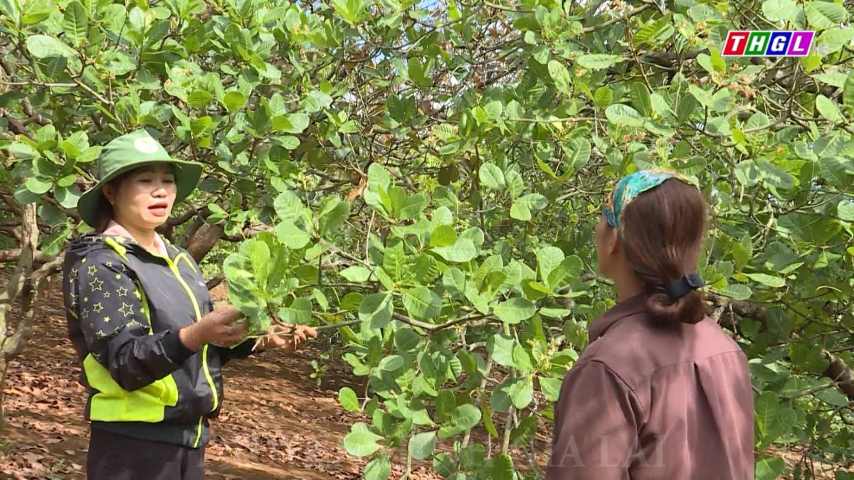 Nông dân Ia Grăng, huyện Ia Grai chung sức xây dựng nông thôn mới