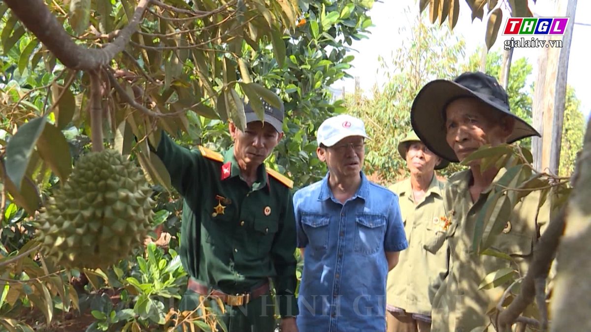 Các cấp Hội CCB tỉnh Gia Lai tích cực tham gia các chương trình kinh tế – xã hội ở địa phương