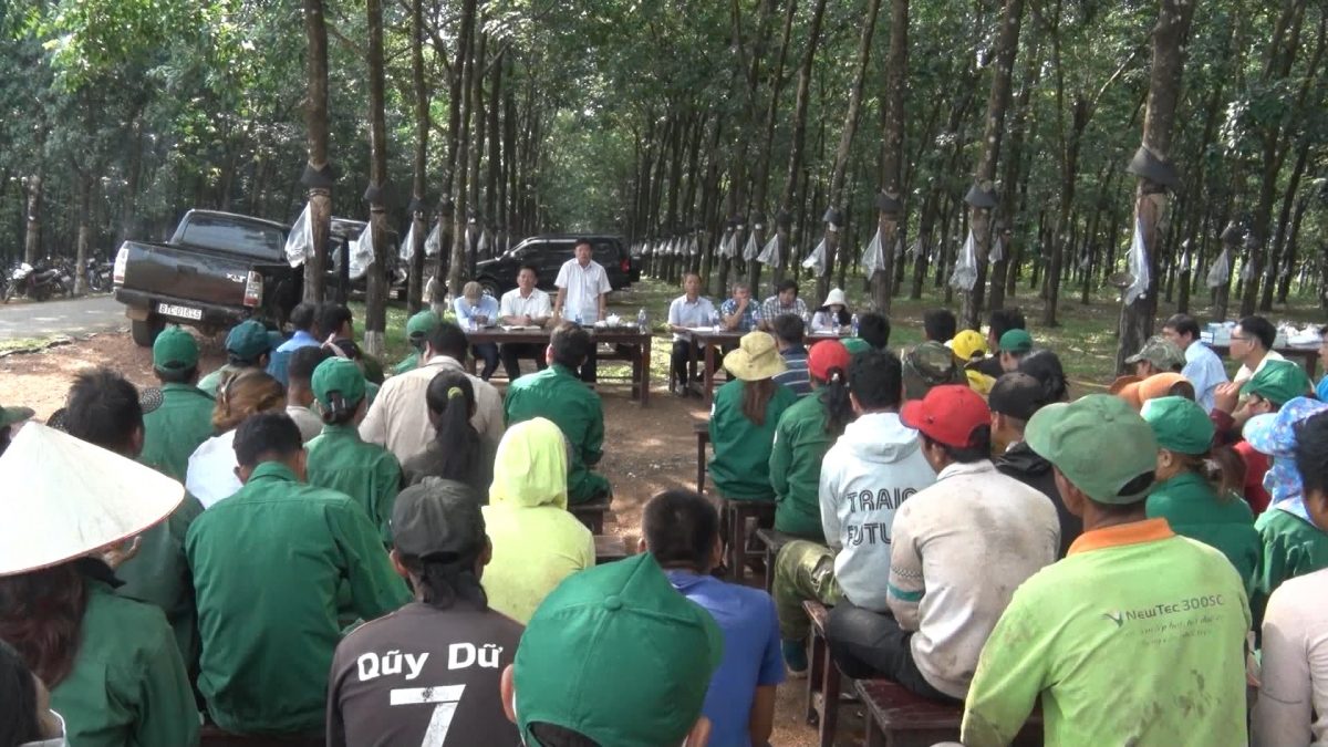 Công đoàn cao su Chư Pah tăng cường các hoạt động đối thoại với công nhân