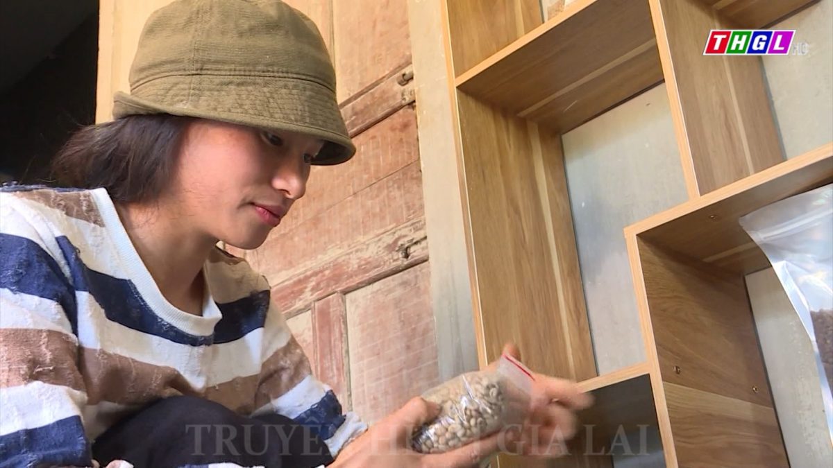 Hội LHPN Gia Lai xét chọn 6 ý tưởng xuất sắc nhất để tham gia Cuộc thi phụ nữ khởi nghiệp cấp khu vực miền Trung – Tây Nguyên