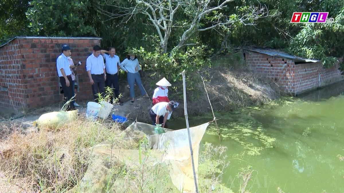 Tăng cường hiệu quả hoạt động của các Câu lạc bộ “Nông dân sản xuất, kinh doanh giỏi”