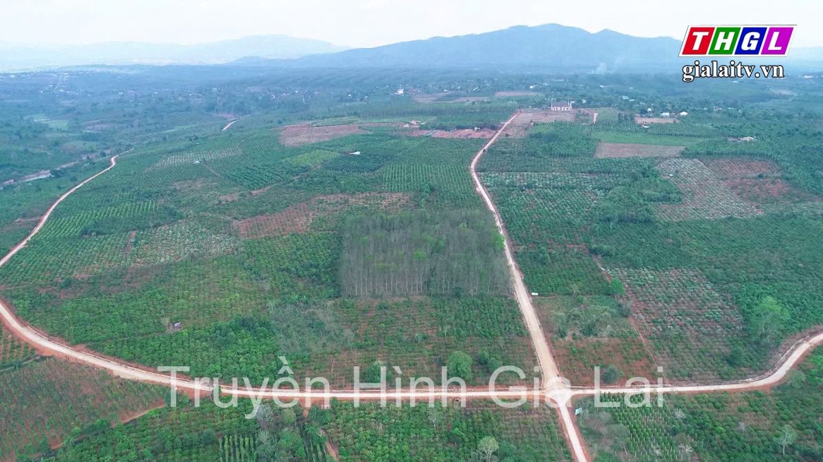 Trung tâm Khuyến nông tỉnh Gia Lai triển khai 7 mô hình với tổng kinh phí hơn 2 tỷ đồng