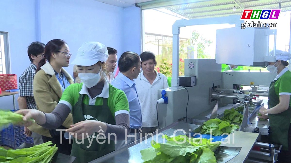 Tỉnh Gia Lai tiếp tục đẩy mạnh hoạt động khuyến công theo tiêu chí đúng đối tượng, đúng mục đích