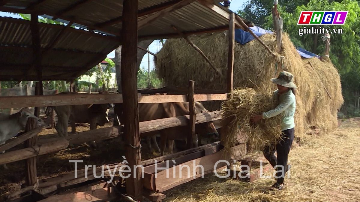 Phụ nữ DTTS huyện Chư Sê với các mô hình tiết kiệm, phát triển kinh tế