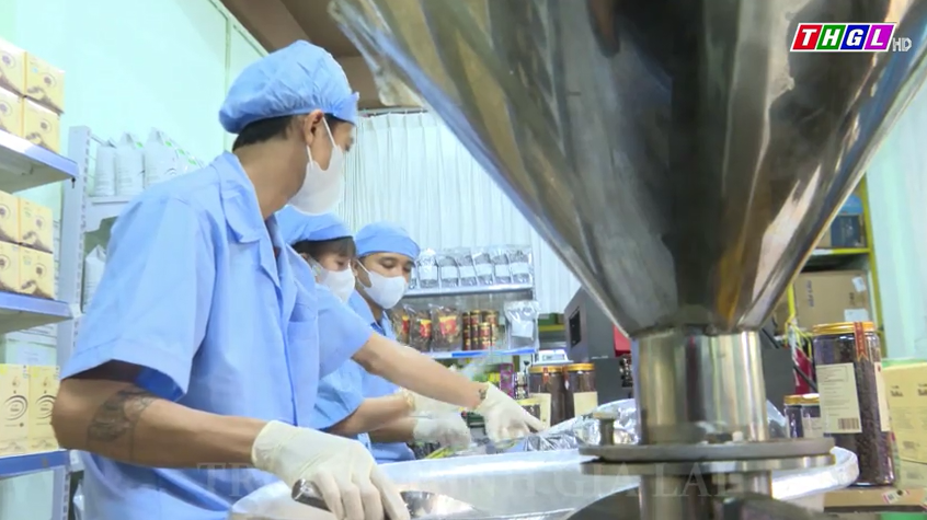 Gia Lai hỗ trợ 2 tỷ đồng cho đối tượng bảo hộ sáng chế, kiểu dáng công nghiệp, nhãn hiệu và công nhận giống cây trồng mới