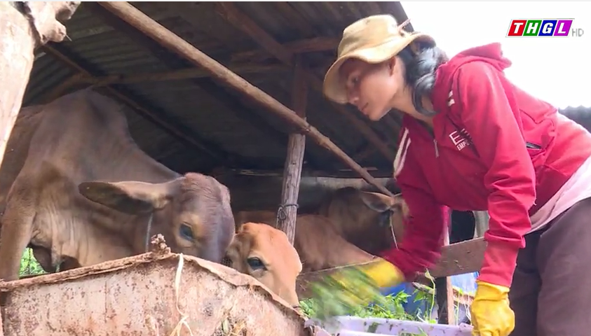 Gia Lai nâng cao chất lượng đời sống cho đồng bào dân tộc thiểu số và miền núi