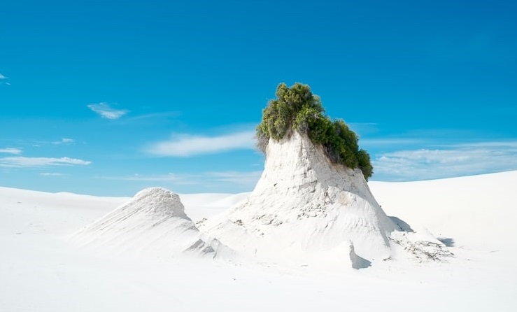 Khám phá sa mạc cát thạch cao mát lạnh, trắng như tuyết ở Mỹ