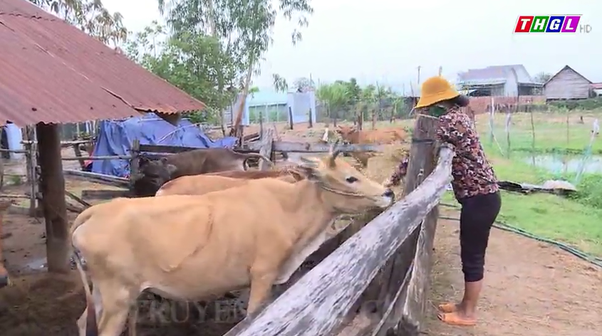Hỗ trợ 97,53 tỷ đồng để thực hiện dự án phát triển sản xuất, đa dạng hóa sinh kế và nhân rộng mô hình giảm nghèo