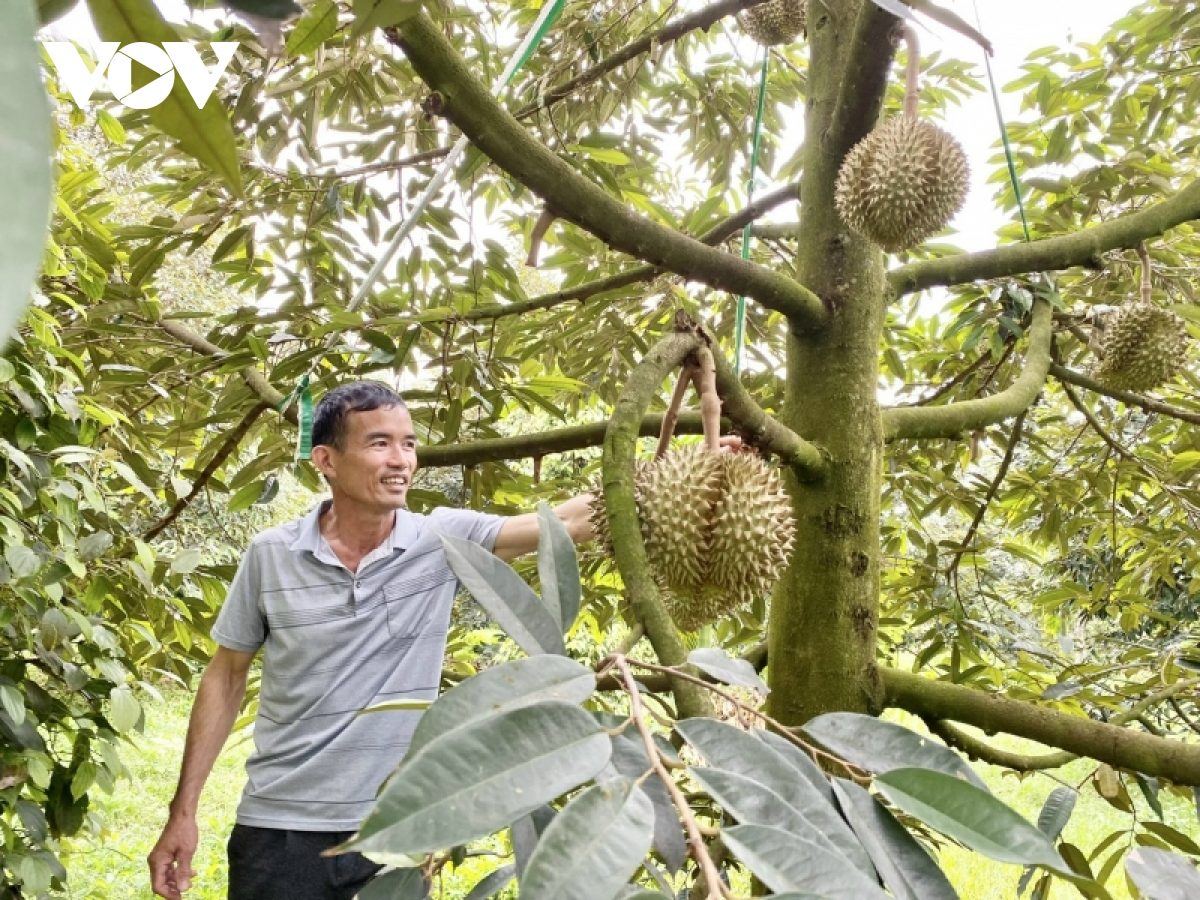 Đắk Lắk xuất khẩu nông sản đạt 810 triệu USD