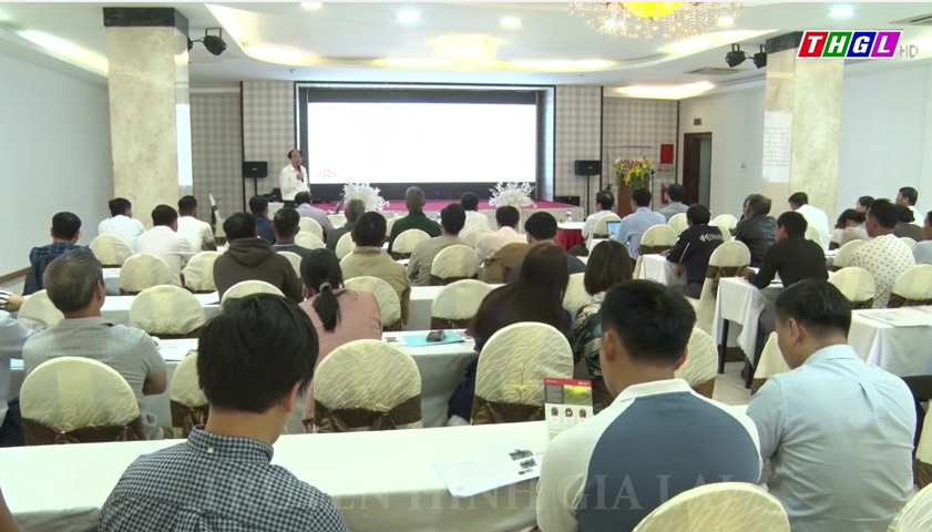 TP. Pleiku tổ chức tập huấn trồng và chăm sóc chanh dây