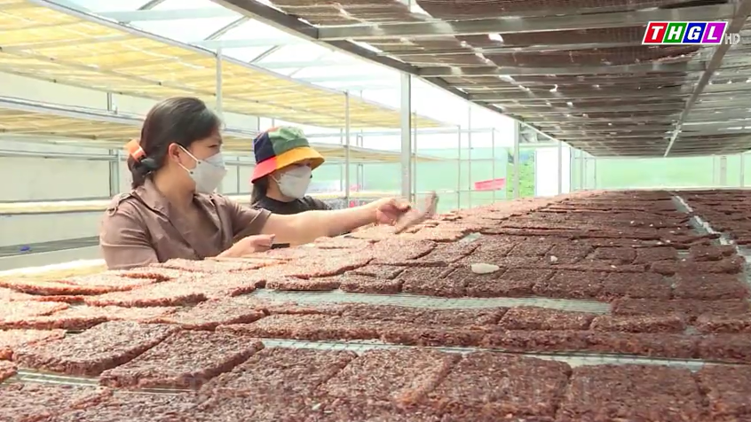 Sở Khoa học và Công nghệ tỉnh Gia Lai đã hỗ trợ và chủ trì lập hồ sơ xác lập quyền cho 17 sản phẩm địa phương