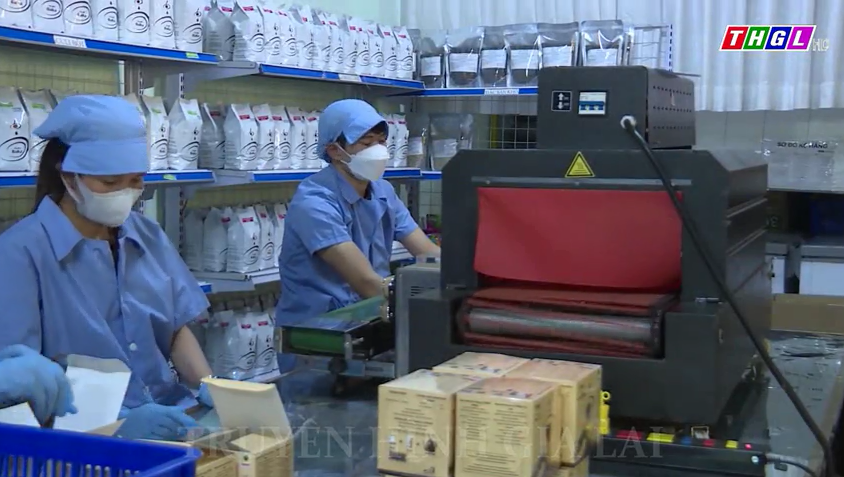 Sở Khoa học và Công nghệ được phân bổ 1,2 tỷ đồng để hỗ trợ doanh nghiệp nhỏ và vừa