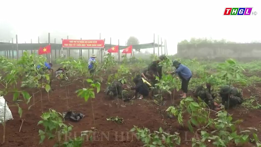 Thành đoàn Pleiku phối hợp với Sư đoàn 320 (Quân đoàn 3) thực hiện Chiến dịch “Hành quân xanh”