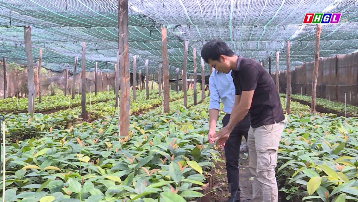 Trung tâm Ứng dụng tiến bộ khoa học và công nghệ tăng cường hoạt động tư vấn, đánh giá chứng nhận VietGAP, Nông nghiệp hữu cơ