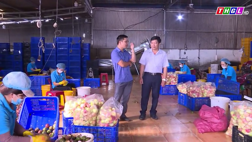 Tăng cường quản lý tình hình lao động làm việc trên địa bàn tỉnh Gia Lai