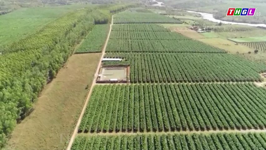 Gia Lai – Nhiều kết quả nổi bật trong phát triển kinh tế-xã hội