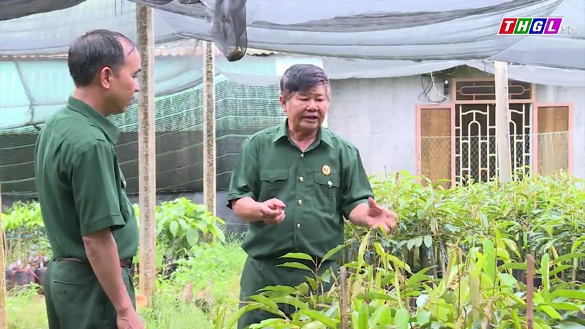 Hoàng Văn Tứ – Cựu chiến binh làm kinh tế giỏi