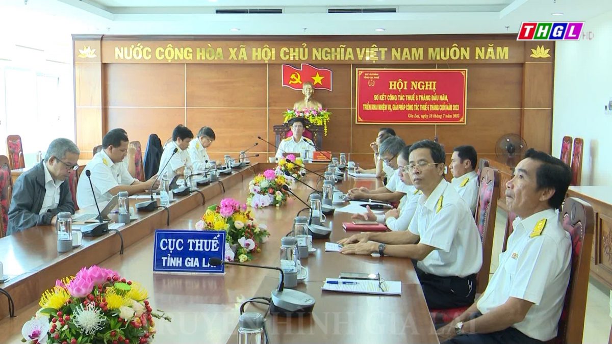 Hội nghị sơ kết công tác thuế 6 tháng đầu năm, triển khai nhiệm vụ 6 tháng cuối năm 2023
